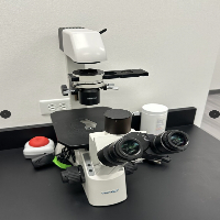 VWR VistaVision Upright Compound Microscope with Halogen Illumination image 0